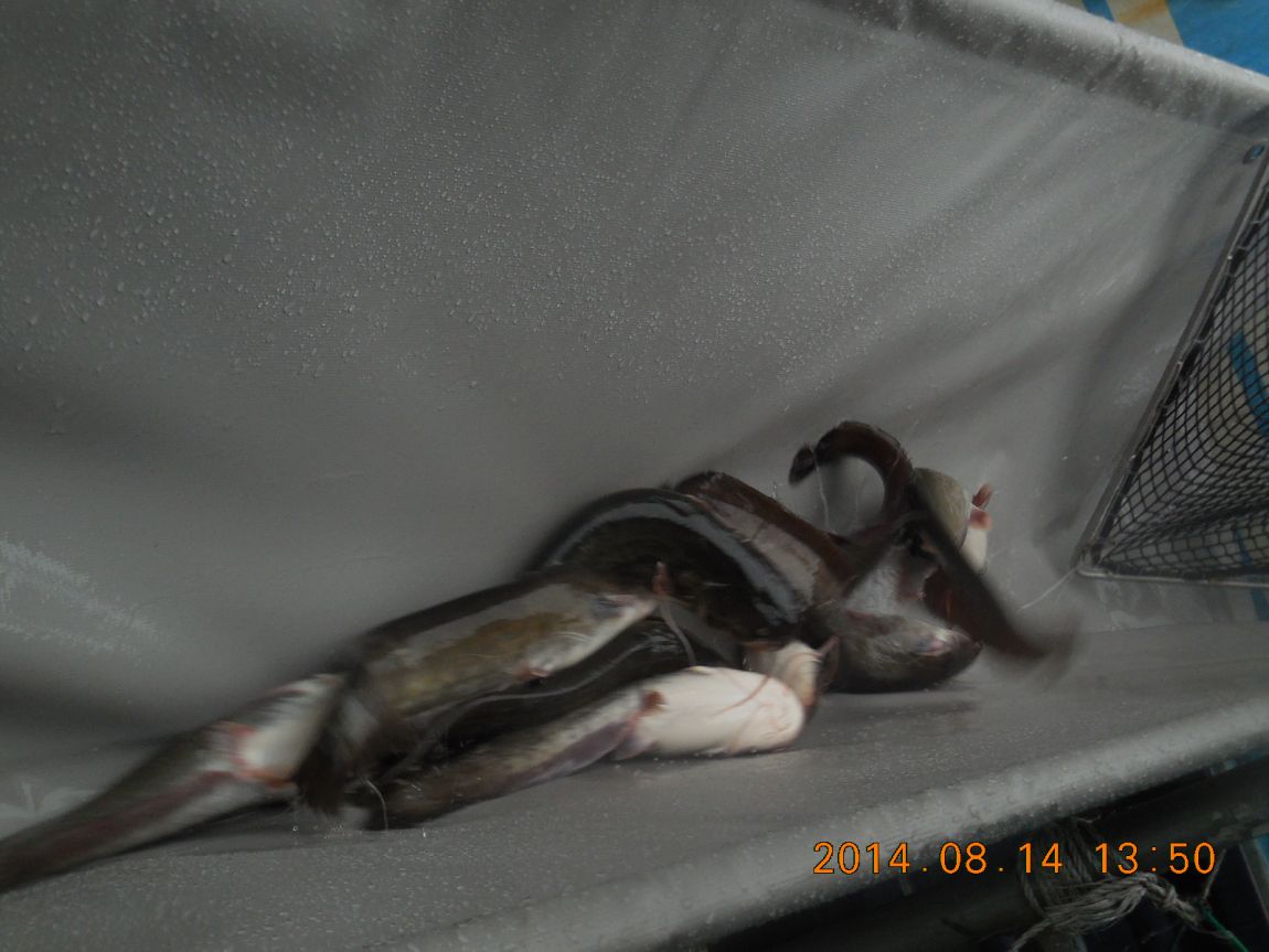 DSCN5830.JPG