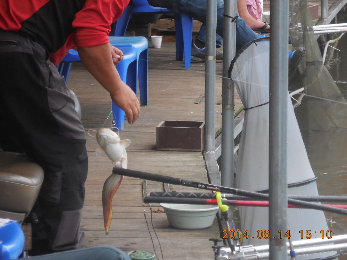 DSCN5844.JPG