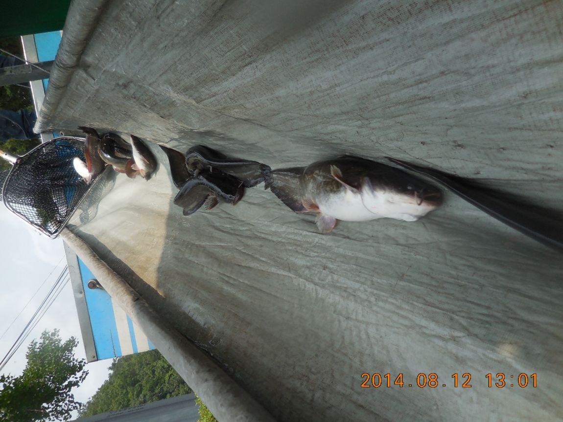 DSCN5753.JPG