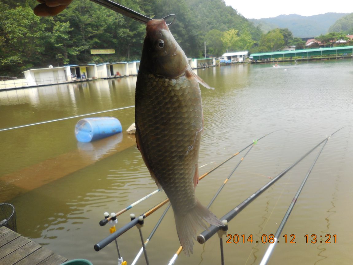 DSCN5778.JPG