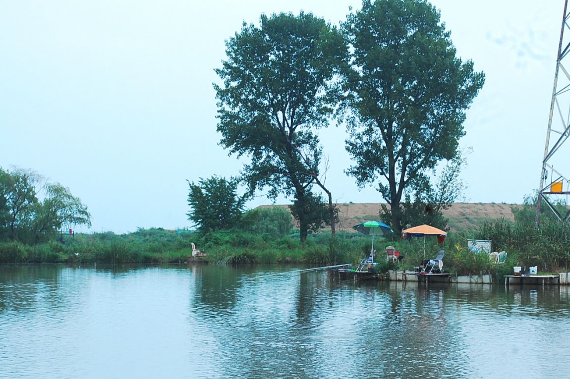 ٹ̱_DSC_0027.JPG
