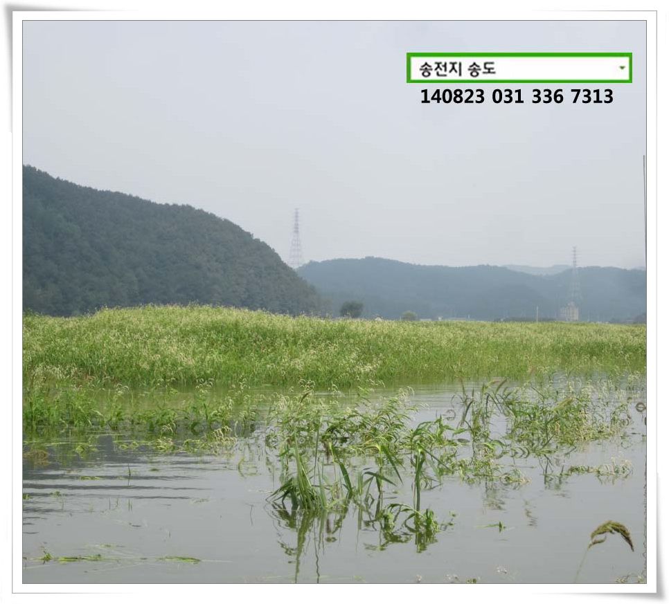 IMG_0001.JPG copy.jpg