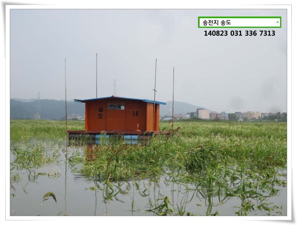 IMG_0004.JPG copy.jpg