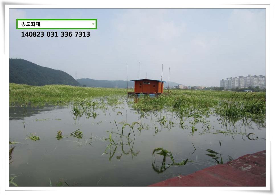 IMG_0003.JPG copy.jpg