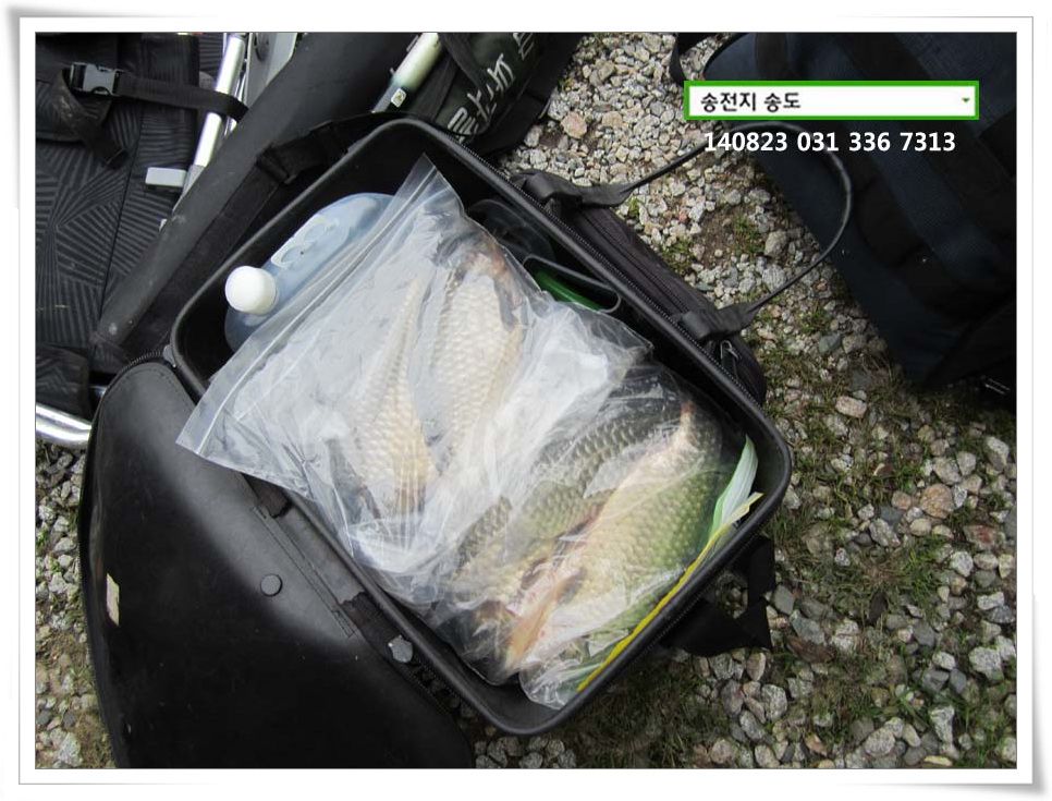 IMG_0007.JPG copy.jpg