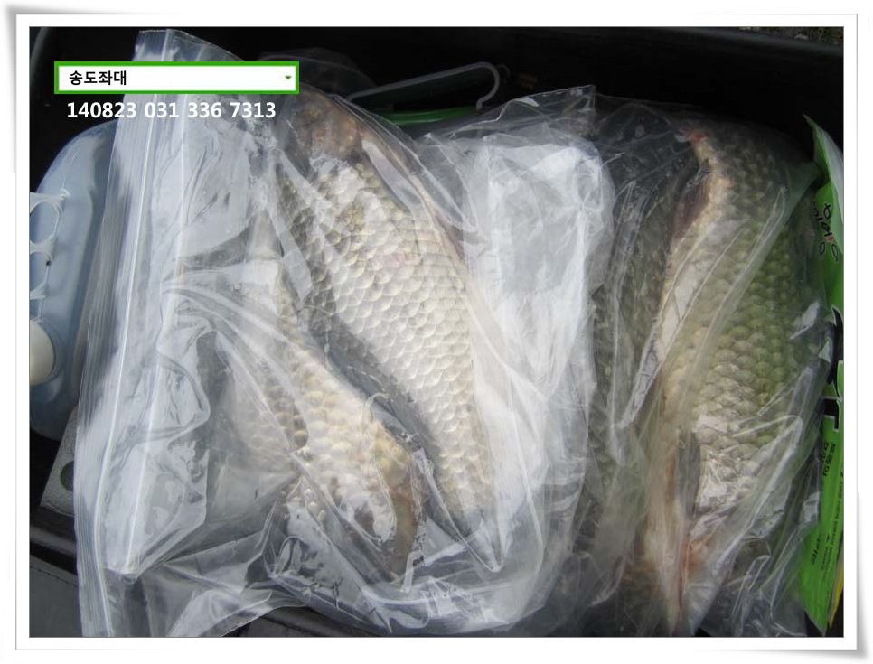 IMG_0005.JPG copy.jpg