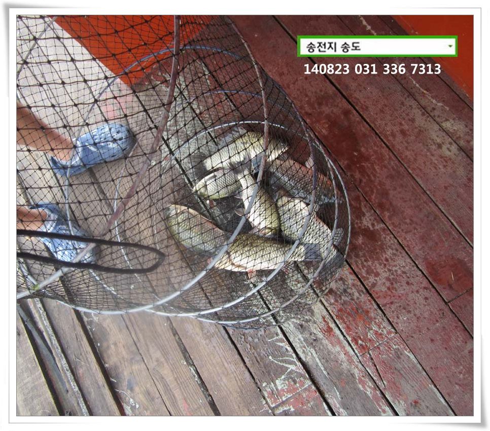 IMG_0045.JPG copy.jpg