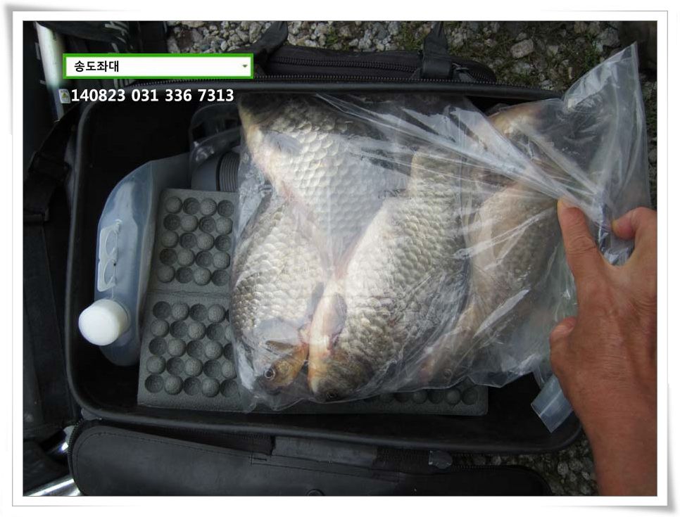 IMG_0009.JPG copy.jpg