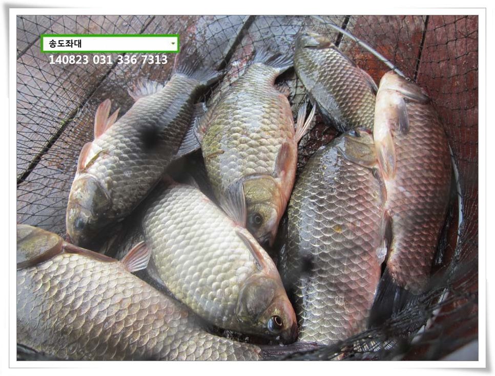 IMG_0053.JPG copy.jpg