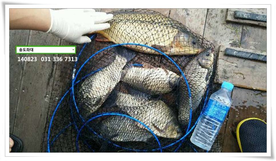 IMG_0213.JPG copy.jpg