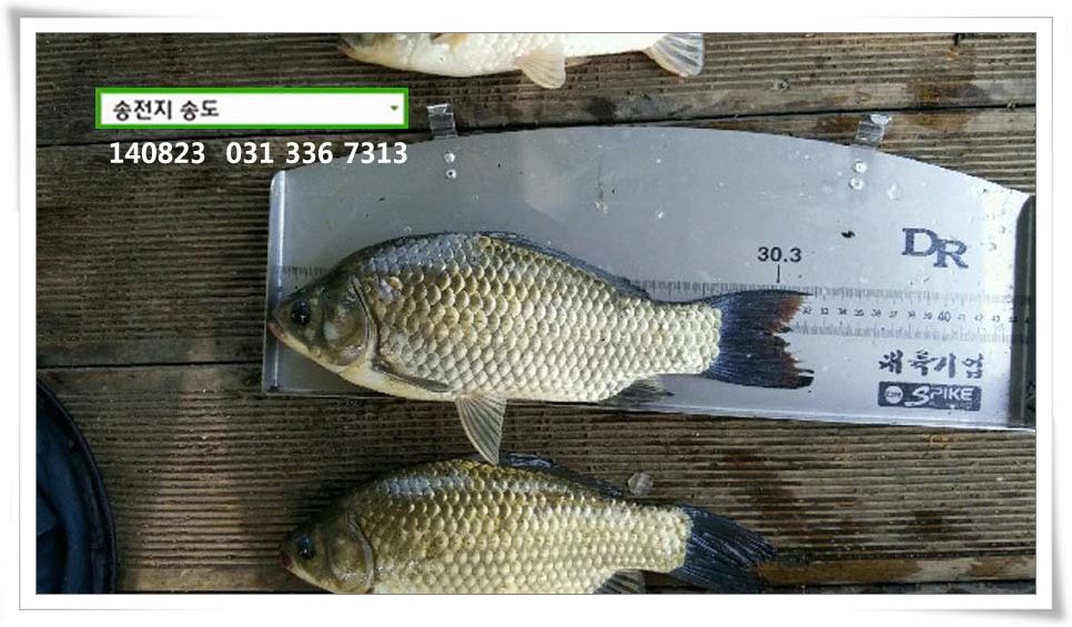 IMG_0215.JPG copy.jpg