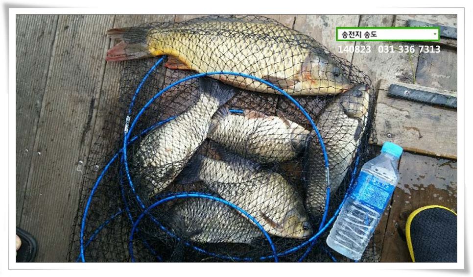 IMG_0214.JPG copy.jpg