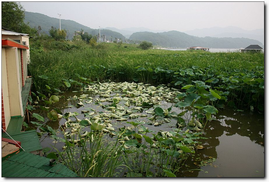 7�������� 3704.jpg