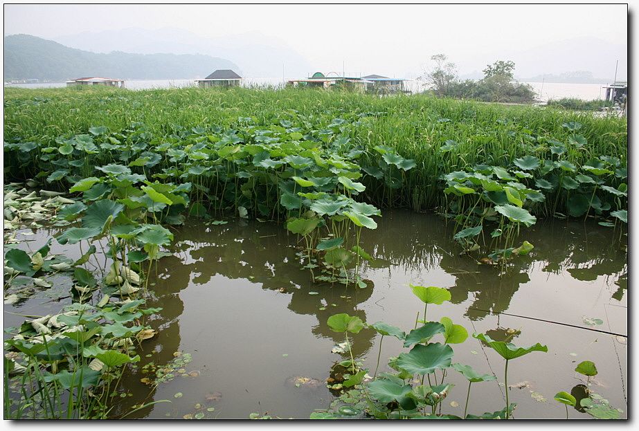 7�������� 3707.jpg