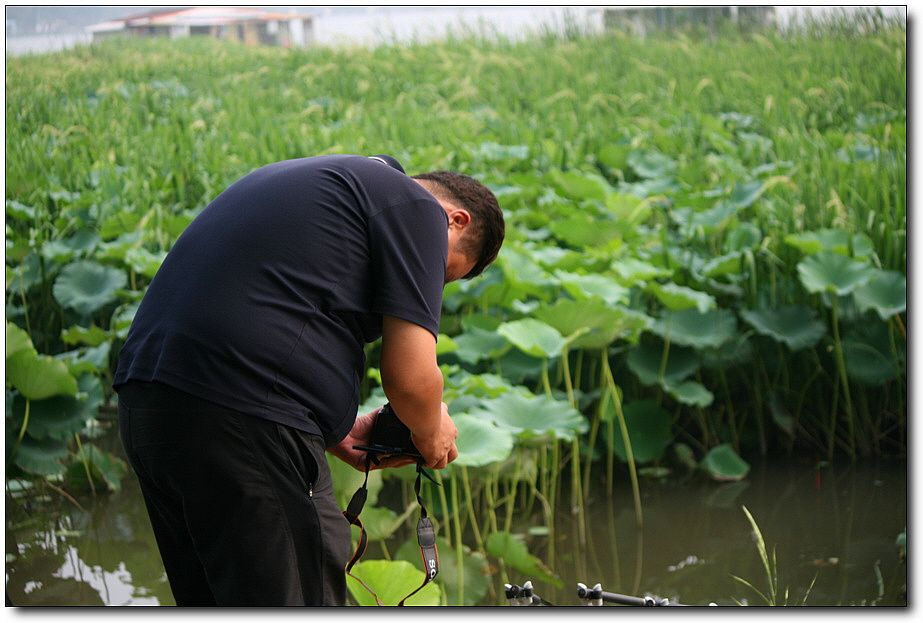 7�������� 3725.jpg