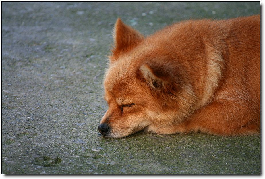 7�������� 3757.jpg