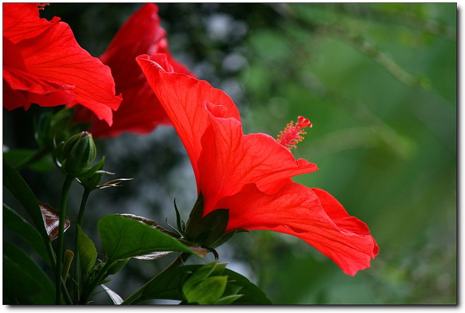 7�������� 3762.jpg