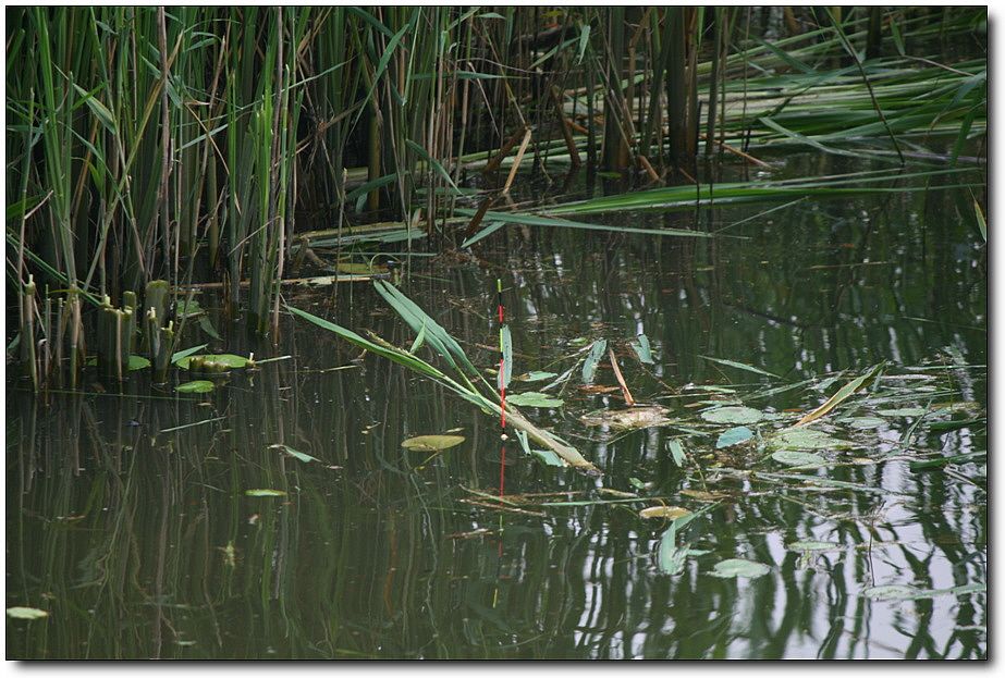 7�������� 3784.jpg