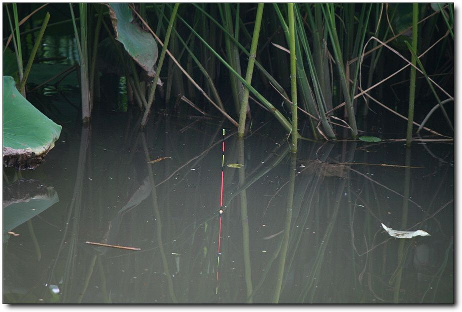 7�������� 3799.jpg