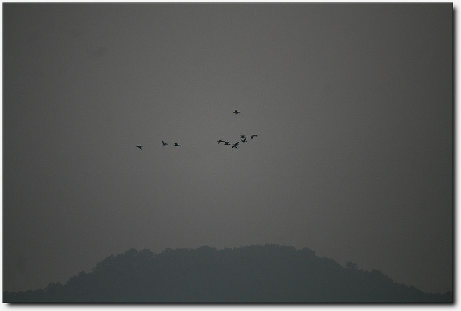 7�������� 3811.jpg