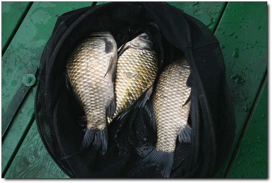 7�������� 3640.jpg