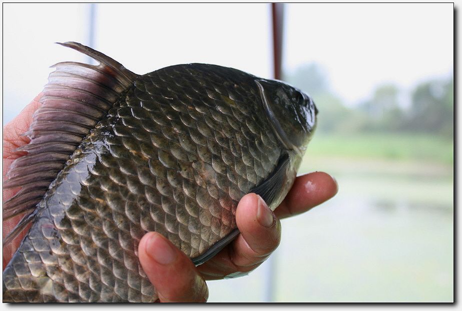 7�������� 3650.jpg