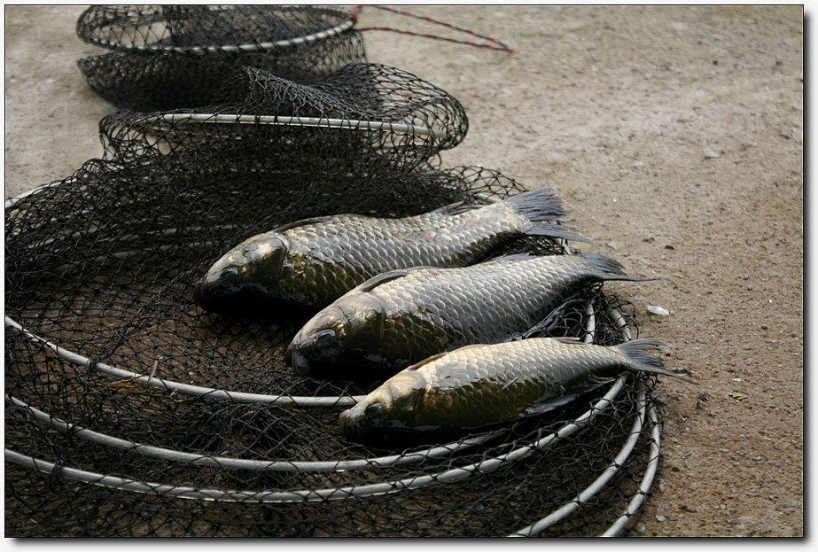 7�������� 3665.jpg