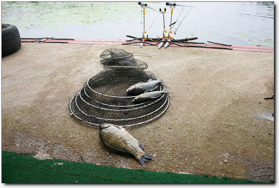 7�������� 3669.jpg