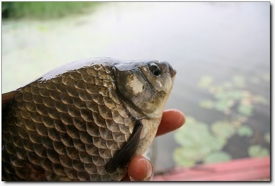 7�������� 3673.jpg