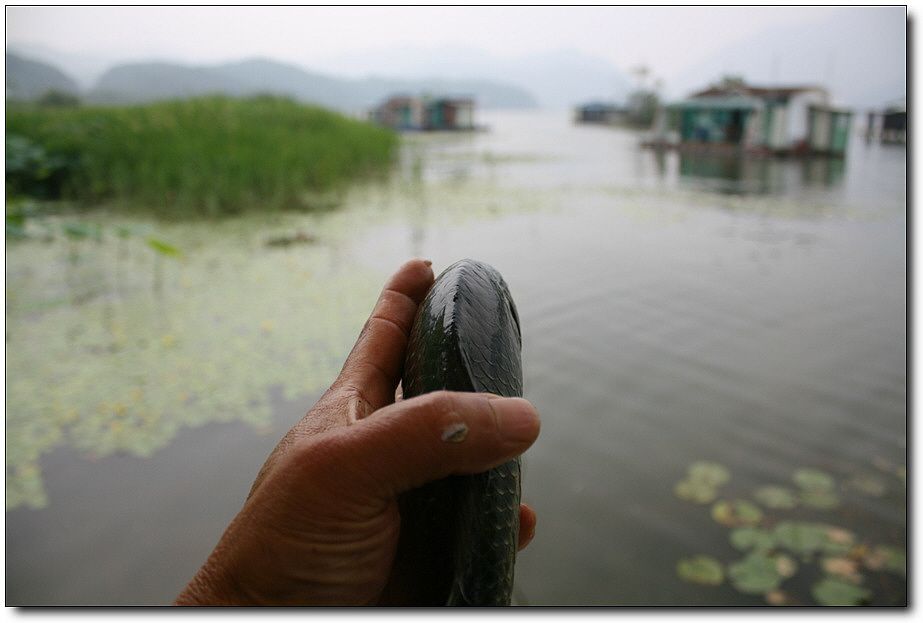 7�������� 3676.jpg