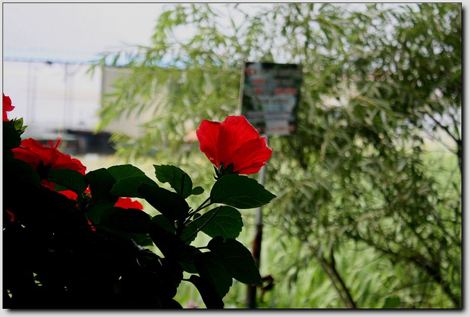 7�������� 3687.jpg