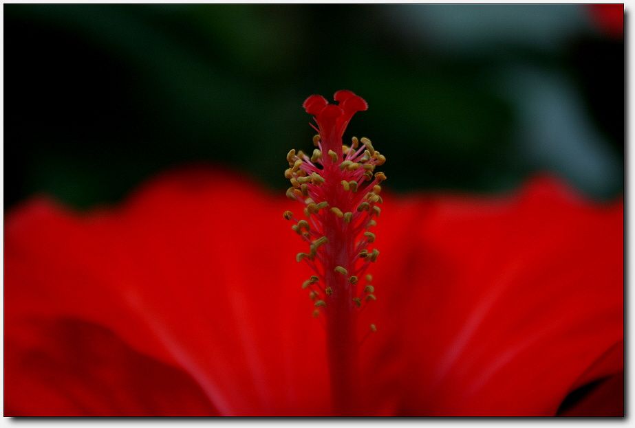 7�������� 3697.jpg