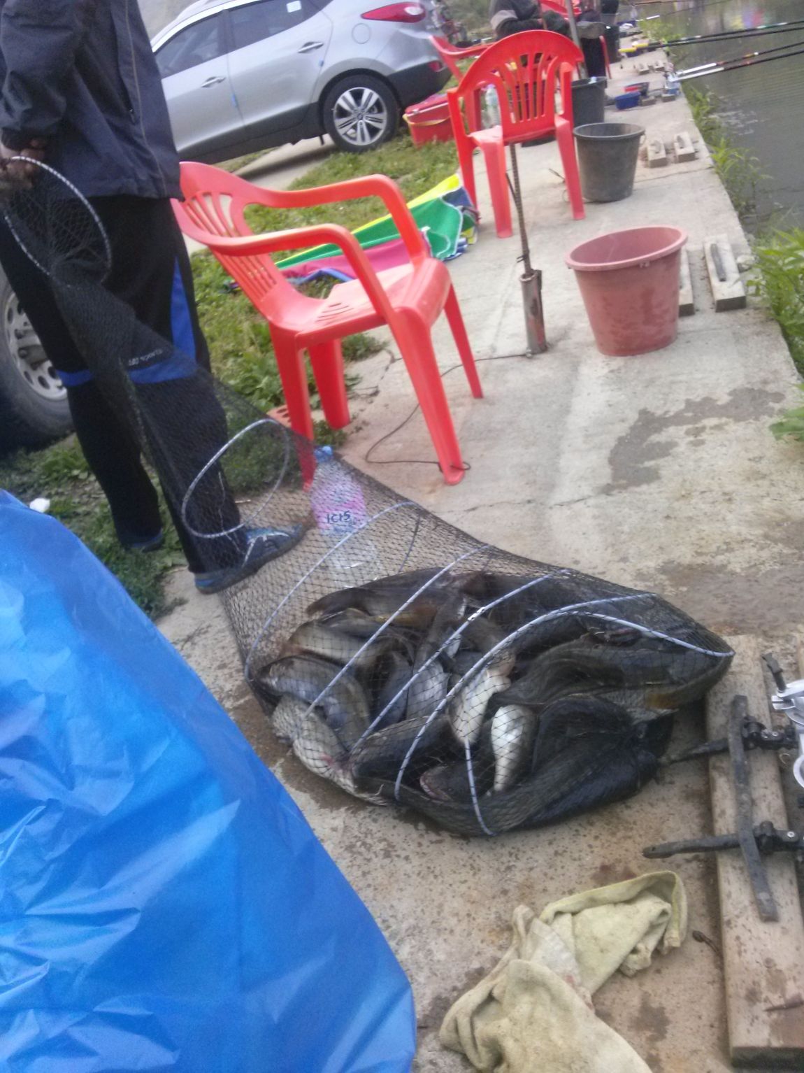 CAM00409.jpg