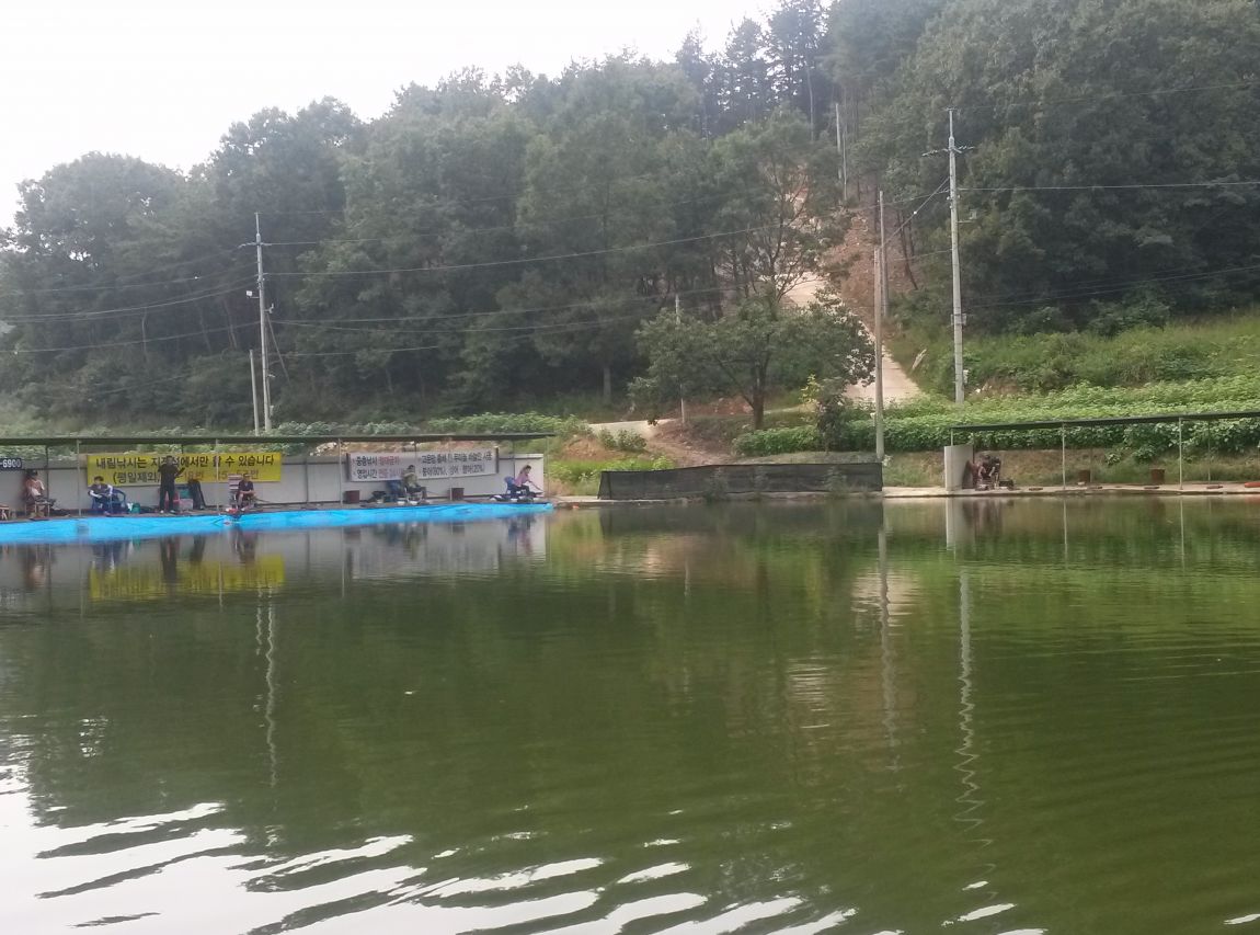 CAM01779.jpg