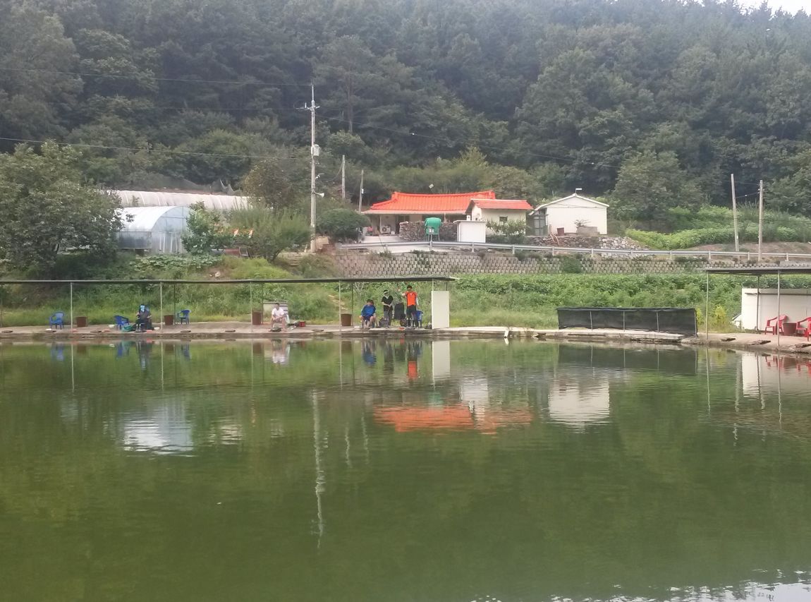 CAM01780.jpg