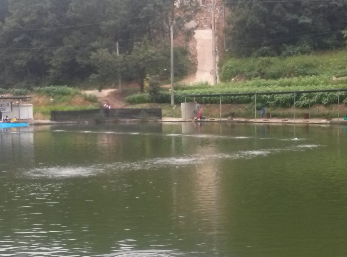 CAM01805.jpg