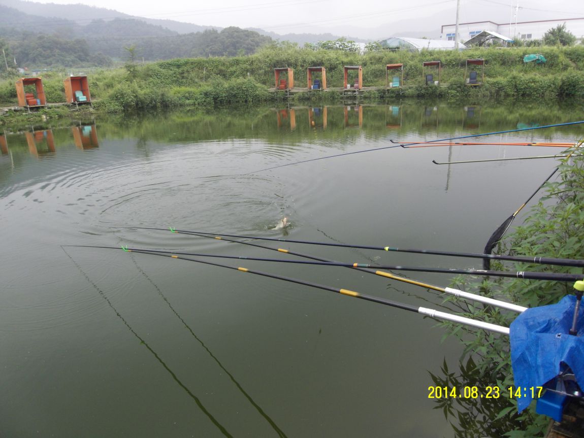SDC10026.JPG