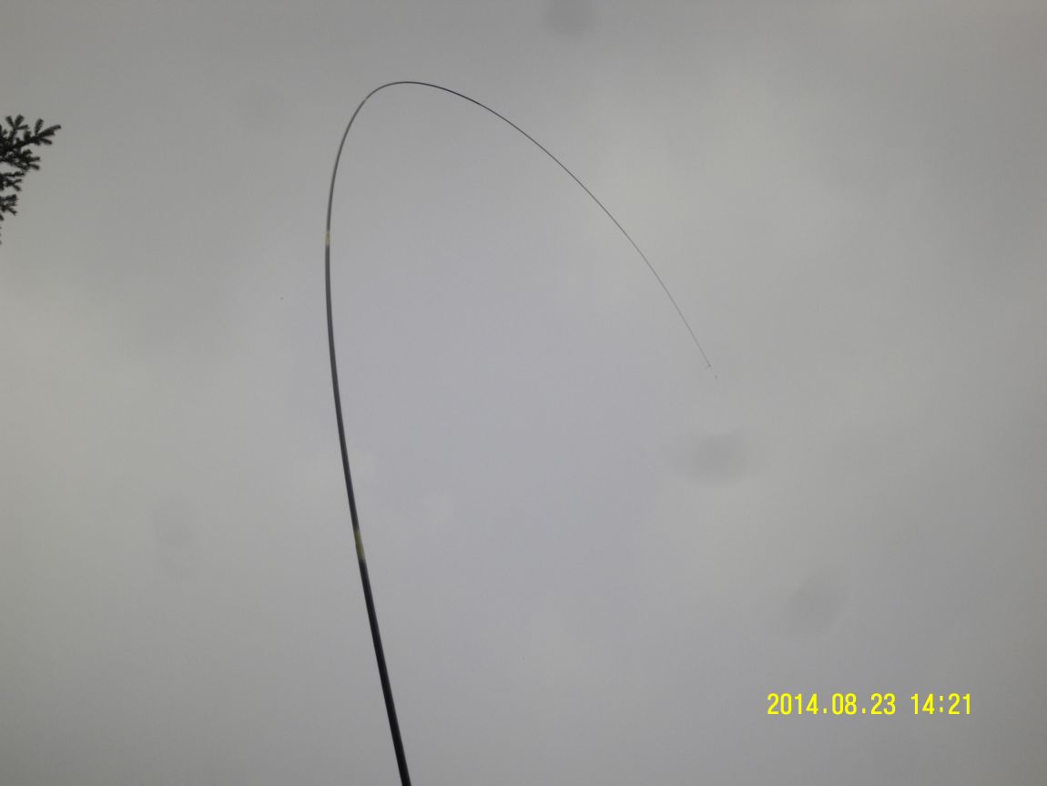 SDC10034.JPG
