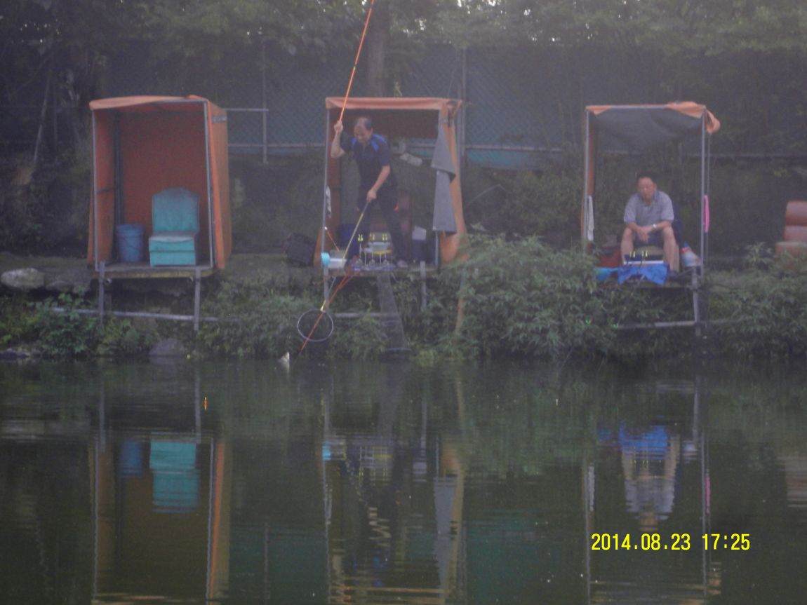 SDC10049.JPG