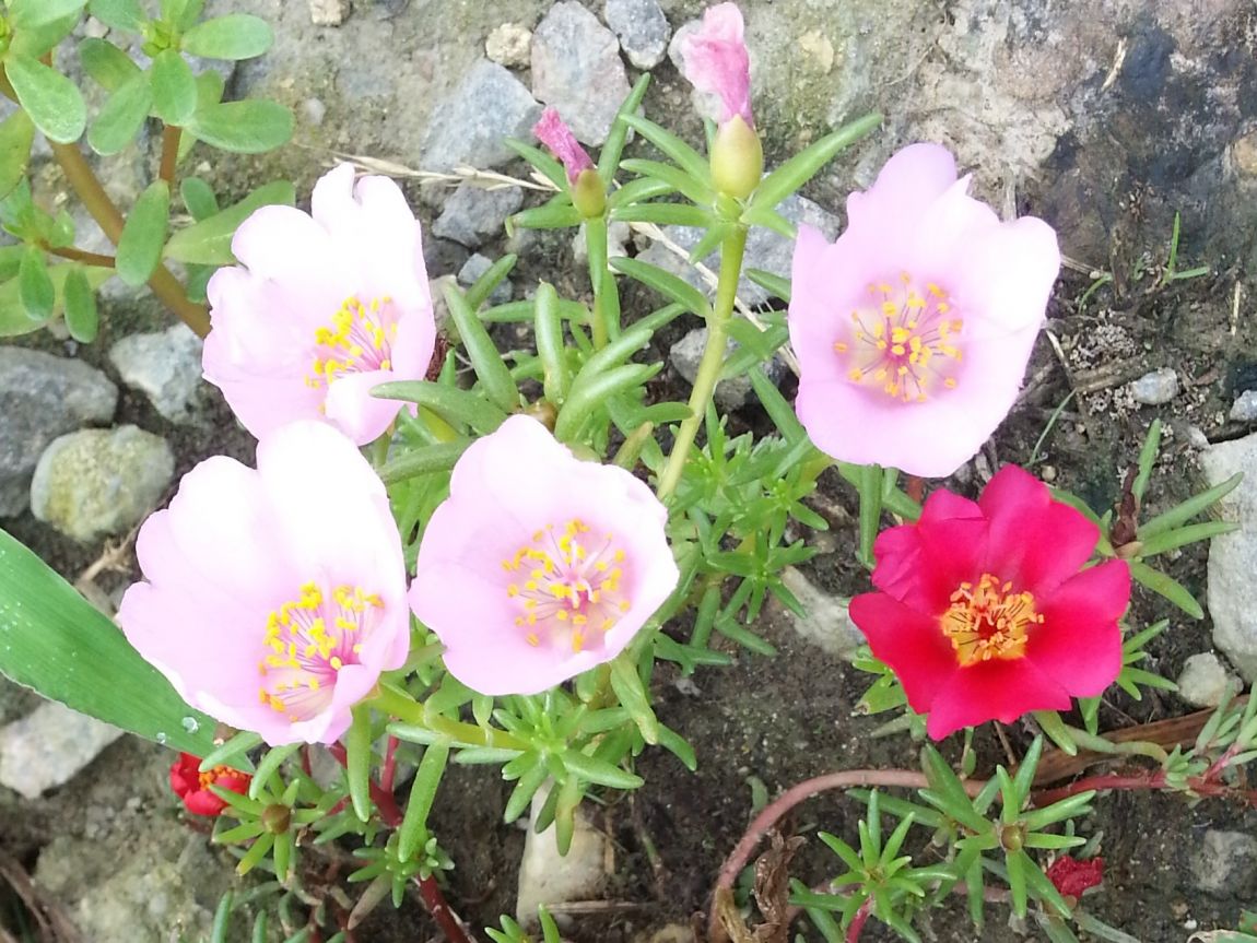 20140824_091437.jpg