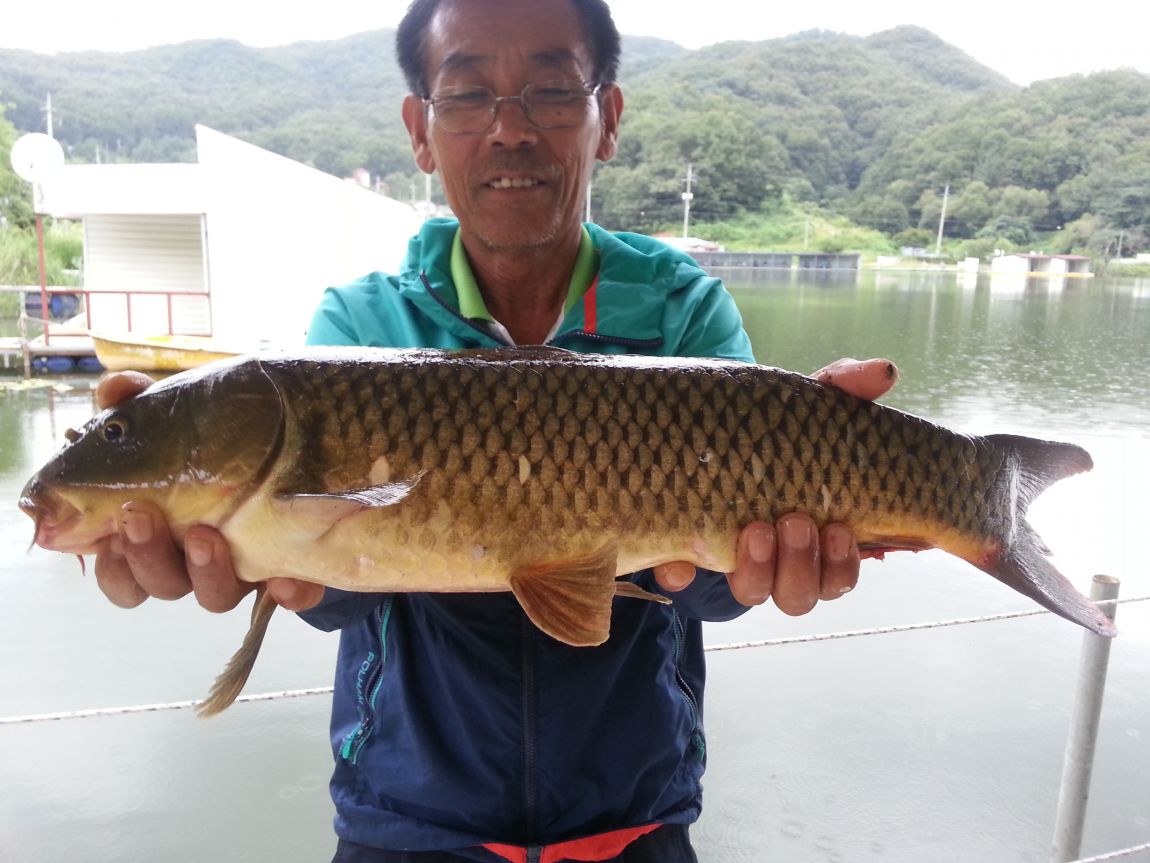 20140820_171227.jpg