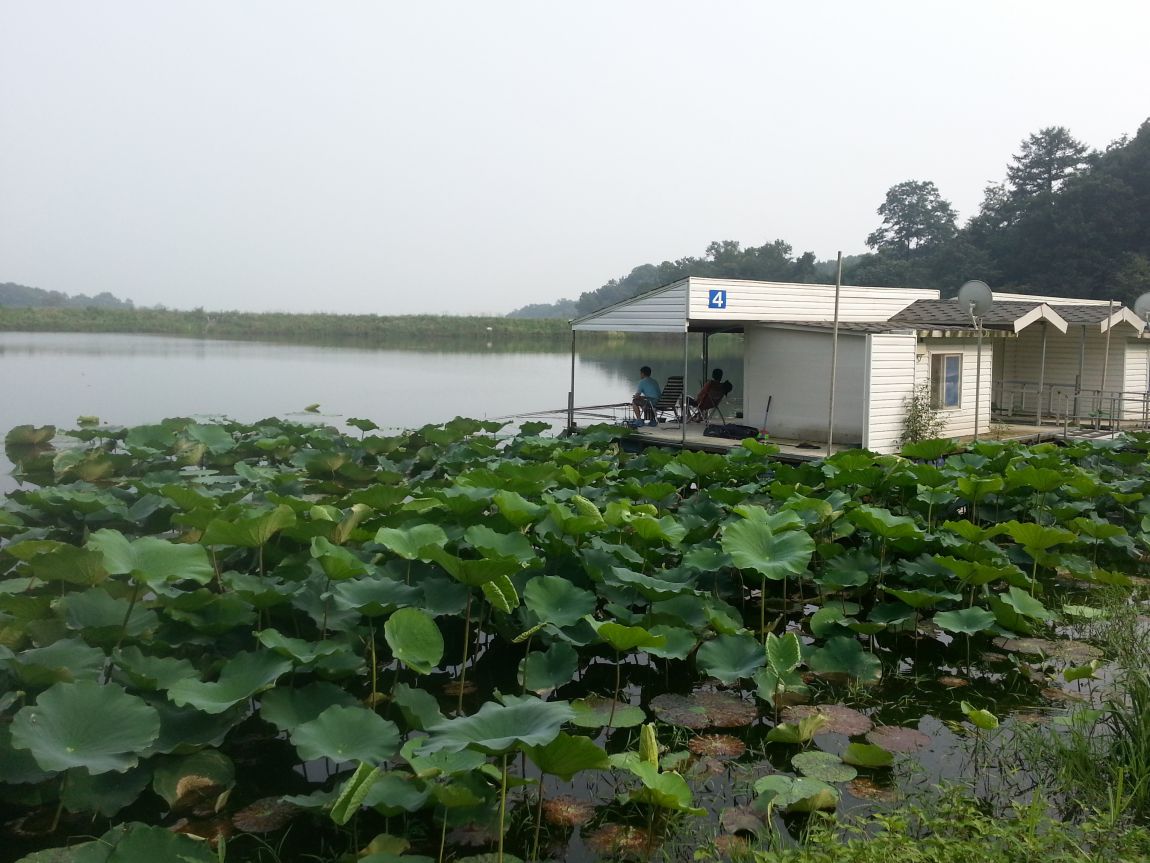 20140823_160758.jpg
