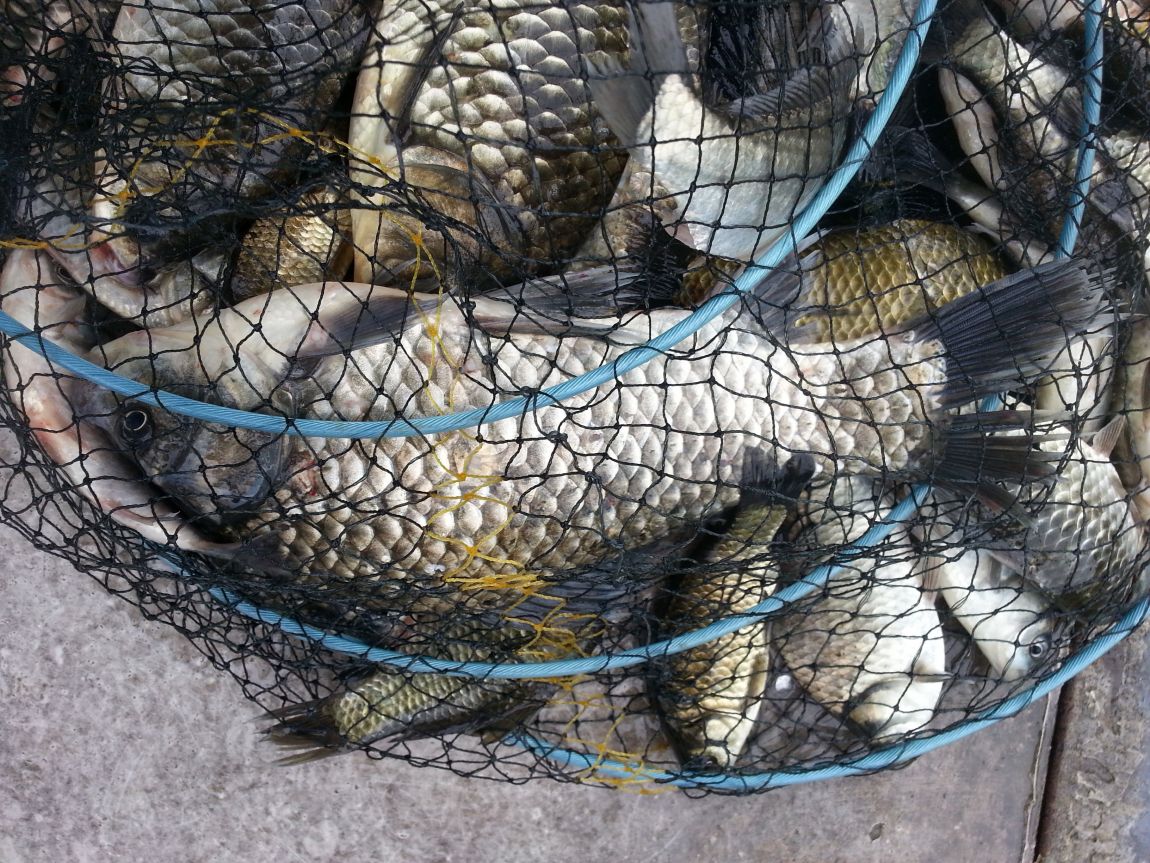 20140826_091422.jpg