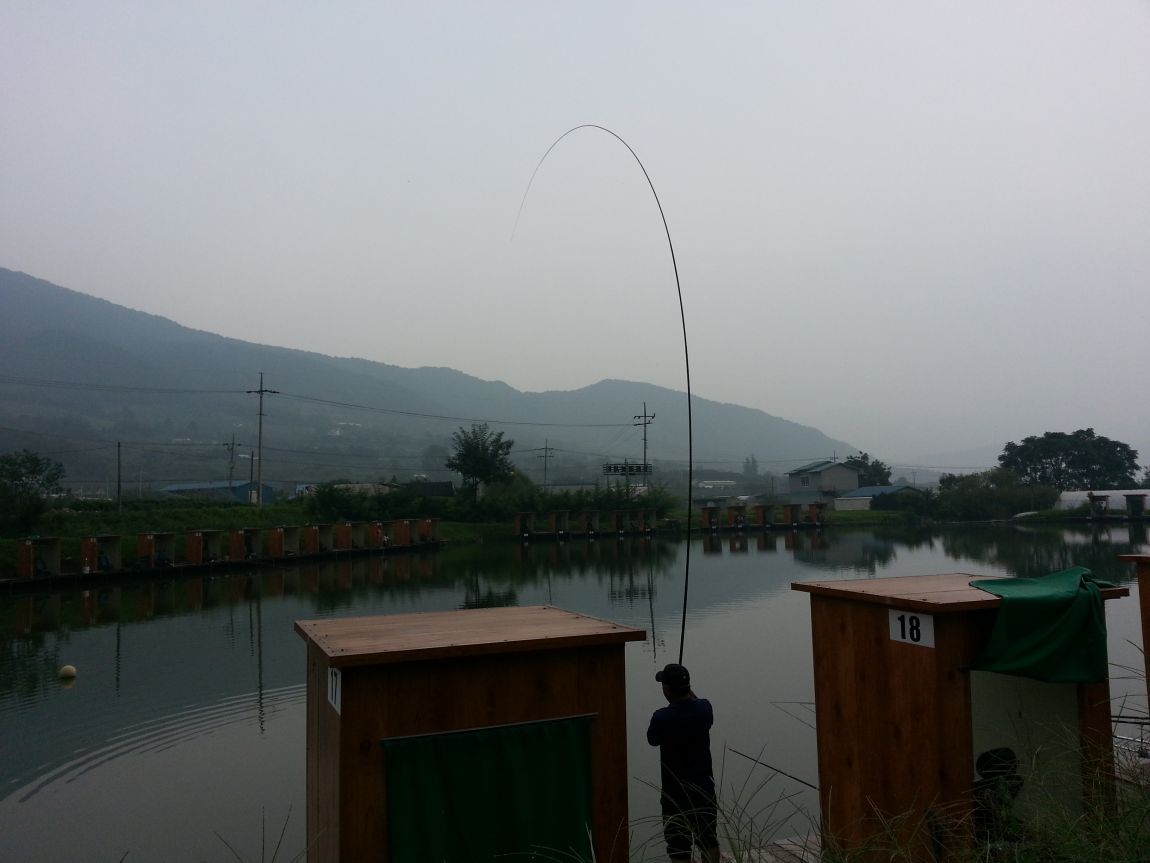 20140823_160312.jpg