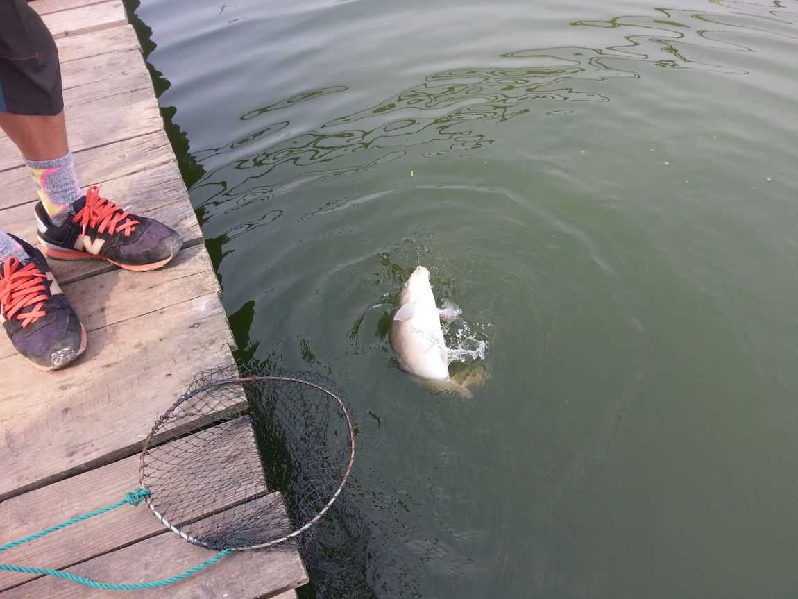 20140822_153059.jpg