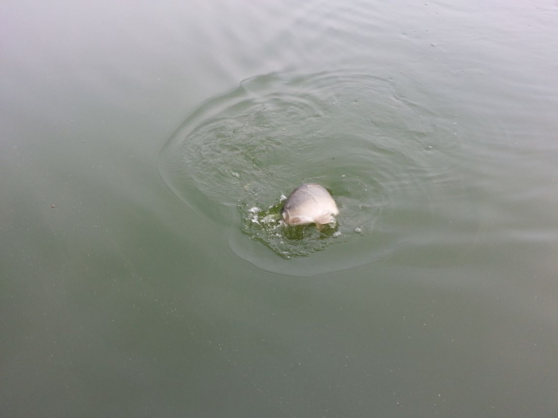 20140823_160403.jpg