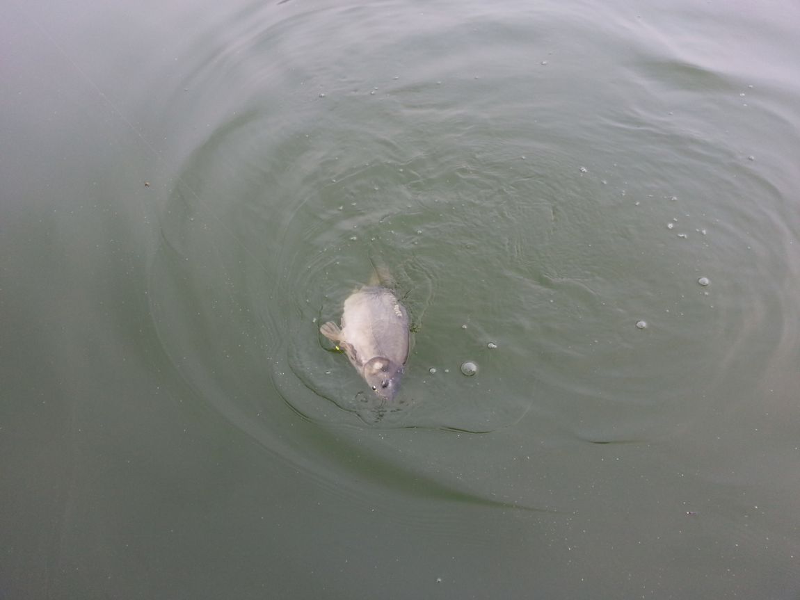 20140823_160405.jpg