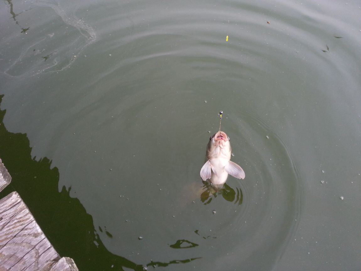 20140823_160414.jpg