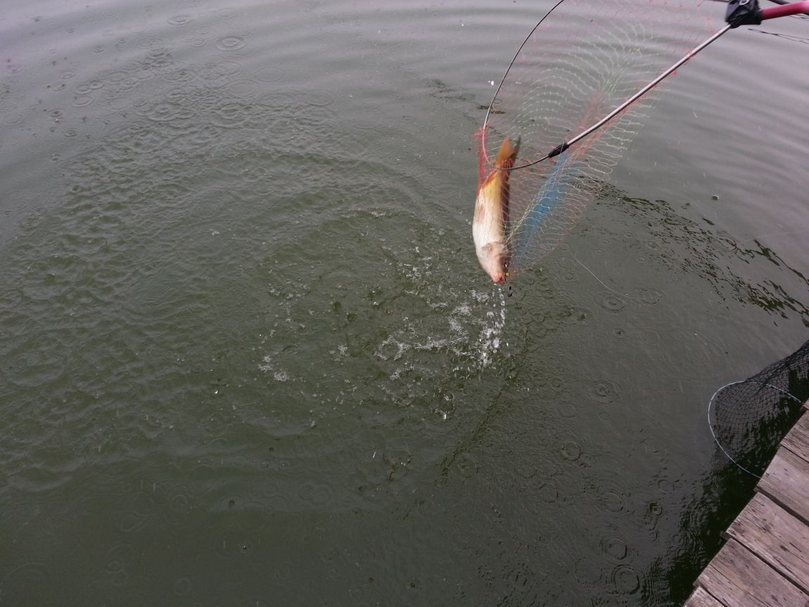 20140823_161516.jpg