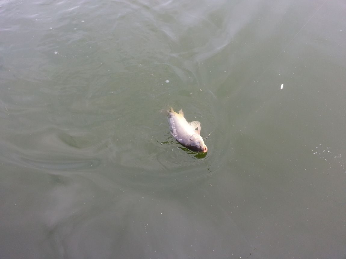 20140827_171031.jpg